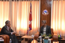 सञ्चारमन्त्री खरेलसँग अमेरिकी राजदूत थम्प्सनको शिष्टाचार भेट