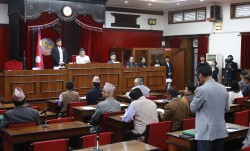 राष्ट्रियसभाः बालिका बलात्कारपछि हत्या घटनामा सरकार र सुरक्षा निकाय गम्भीर हुनुपर्नेमा जोड