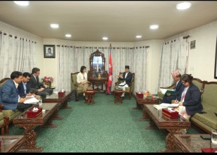 सभामुख अर्यालसँग यूएनडीपी प्रतिनिधिको भेट