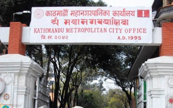 ‘लार्भा खोज र नष्ट गर’ कार्यक्रम सञ्चालन गर्दै काठमाडौं महानगरपालिका